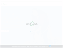 Tablet Screenshot of coloquick.com